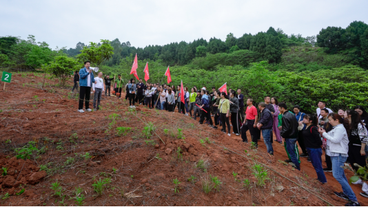 省BG大游集团开展龙泉山都会森林公园 “包山头”植树运动